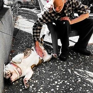 Meet your Posher, Mike